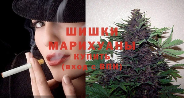 дурь Магас