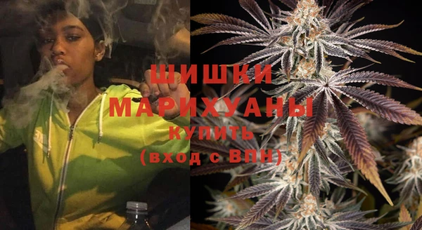 индика Магадан