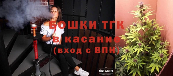 индика Магадан