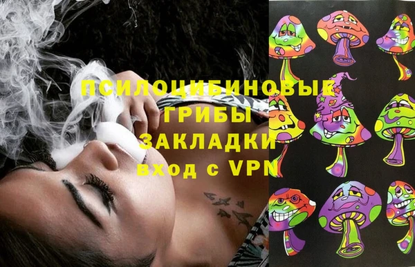 индика Магадан