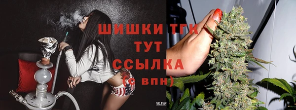 индика Магадан